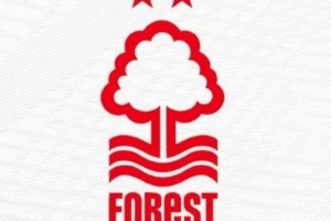 TA：一个老板的两支球队不能同时参加欧冠，森林队已采取规避措施 配图