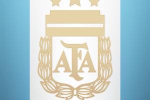 阿根廷官博：3月12日代表将到北京，办出征世界杯（中国）发布会 配图