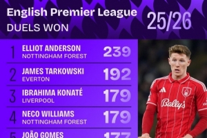 本赛季英超对抗成功次数榜：安德森239次居首，塔尔科夫斯基次席 配图
