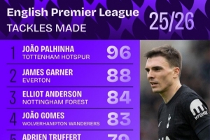 本赛季英超抢断次数榜：帕利尼亚96次居首，加纳88次第二 配图