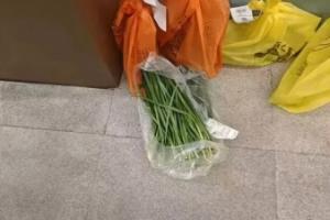 重庆铜梁龙中超主场首战票价引发球迷不满,网传球队门口被寄韭菜 配图