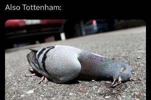 今日趣图：我花了零秒钟就猜出西蒙尼次回合的阵型，你也来试试吧 配图