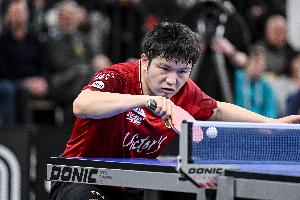 王励勤谈樊振东：非常希望他能够为国征战，我们也在做一些沟通 配图