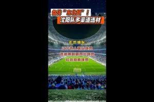 “东北超”沈阳队以辽宁铁人梯队球员为主体,并采取多渠道选材 配图