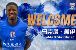 记者：盖伊、米内罗、李可未随申花队出征杭州，盖伊训练中拉伤 配图