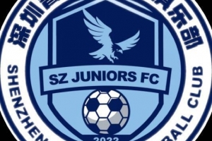 深圳青年人总经理:希望如大家愿,明年有中超深圳德比 配图