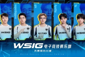 WSIG无畏契约大名单：M1ng929、superbigguo、gin、Apathy、Ye 配图