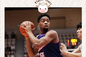 香港金牛今晚大胜张家口体文旅 常规赛主场圆满收官 配图