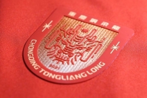 重庆铜梁龙官方:3月20日增补铜梁龙vs蓉城球票 配图