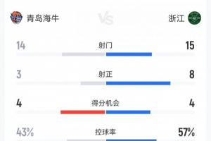 海牛1-4浙江数据：射门14-15，射正3-8，得分机会4-4，犯规17-17 配图