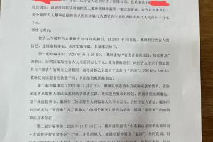 李平康曝光对戴琳的刑事控告书:三起诈骗,共骗取十一万七千元 配图