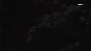 2026中超联赛第3轮北京国安1-1上海申花 Match Day比赛日纪实 配图