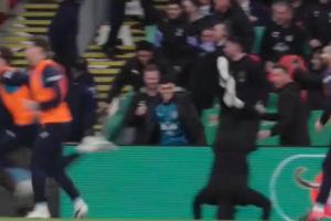 兴奋过头!曼城进球后助教图雷一头栽进球场,福登看了一眼没管 配图