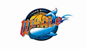 进攻乏力！四川全场53投16中&三分20中4 仅拿到51分 配图