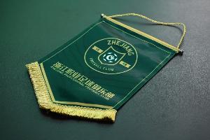 热身赛浙江5-2苏州东吴,卢卡斯、托利奇、陶强龙、方昊、周科破门 配图