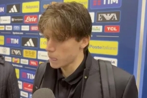 帕莱斯特拉：加图索教练让我感到自在 我们知道去世界杯至关重要 配图