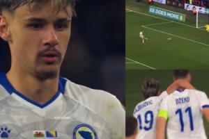 波黑小将:现在我们将回到主场作战,意大利会感到恐惧 配图