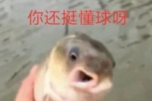 该退休了？帕金斯：莱利每年休赛期都想钓鲸鱼 最后只钓上来鲈鱼 配图