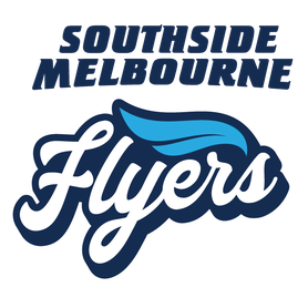 南区飞人女篮队徽