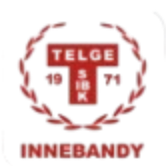 特尔赫女篮队徽