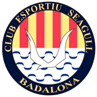 CE海鸥女足队徽