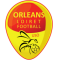 奥尔良队徽