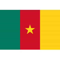 喀麦隆队徽