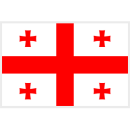 格鲁吉亚U21队徽