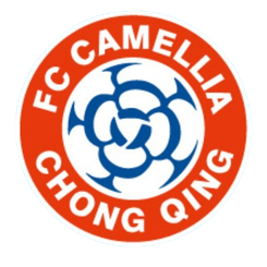 重庆笛凯忠赤队徽