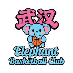 武汉大象篮球球队
